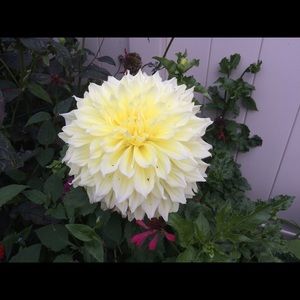 Meet your Posher, Deb